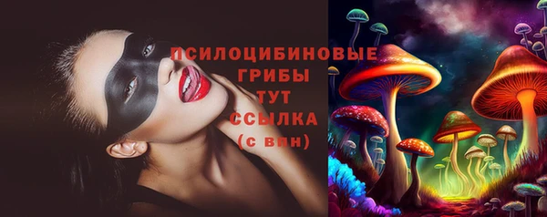 кокс Белокуриха