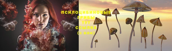 спиды Беломорск
