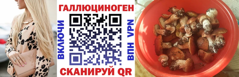 купить наркотики цена Кудымкар ОМГ ОМГ tor Галлюциногенные грибы мухоморы