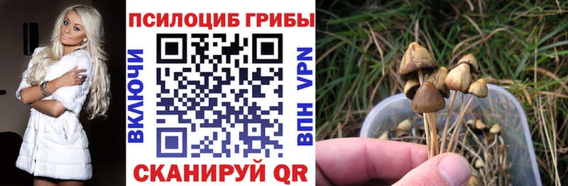 Псилоцибиновые грибы прущие грибы Кудымкар
